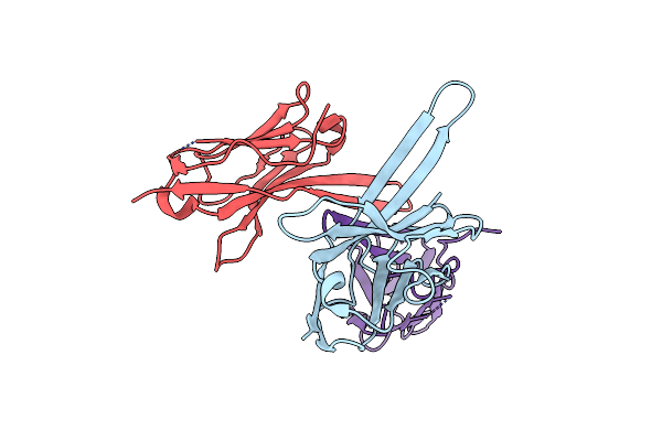 8V8K image
