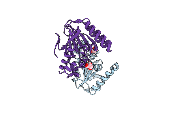 8V8L image