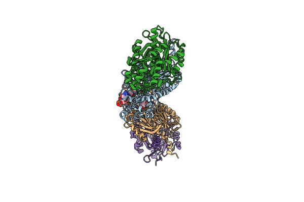 8V8M image