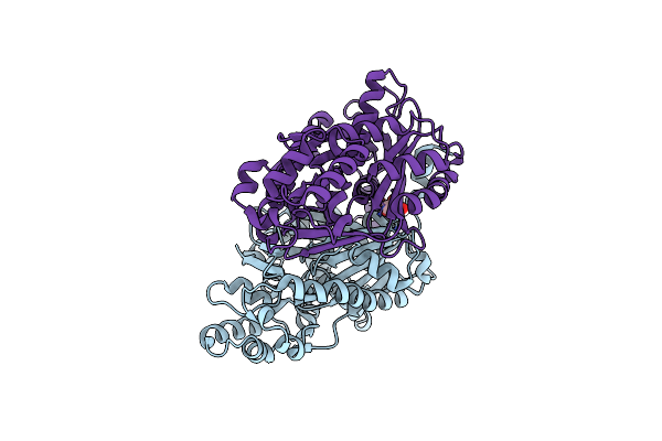 8V8N image