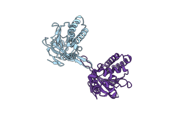 8V8O image