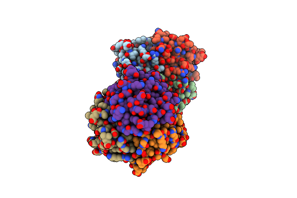 8V8R image