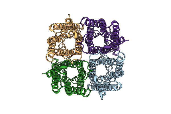 8V8S image