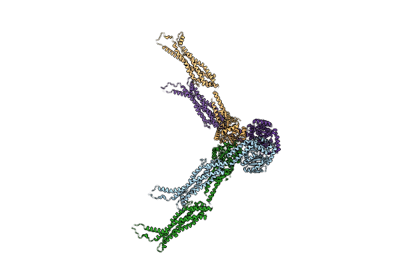 8V8T image