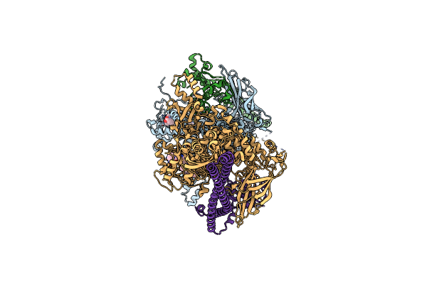 8V8U image