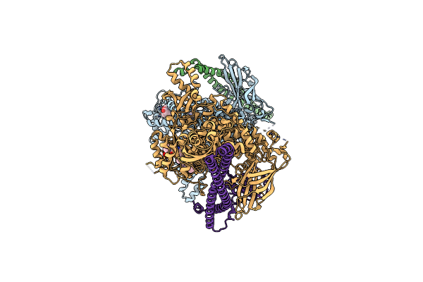 8V8V image