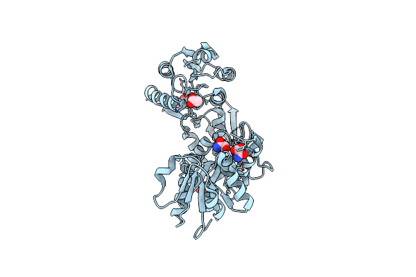 8V8W image