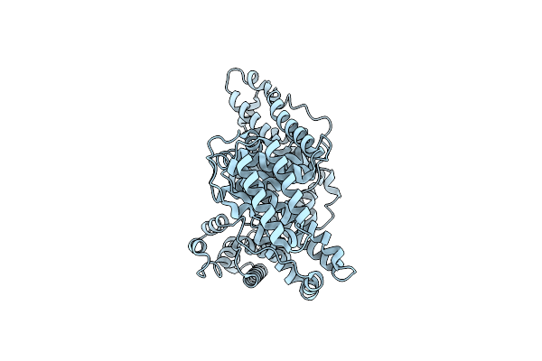 8VAF image