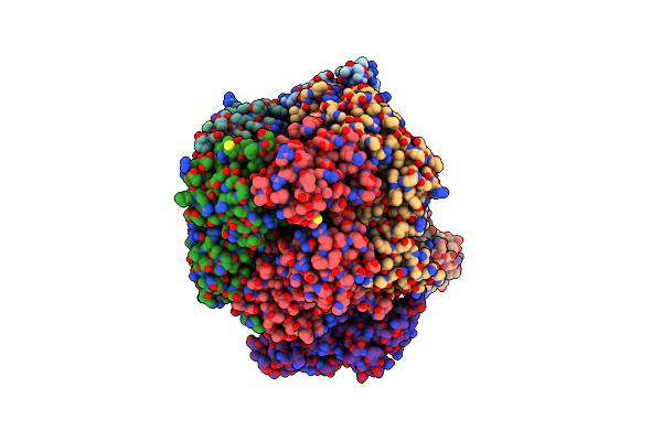 8VAM image