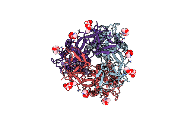 8VAO image