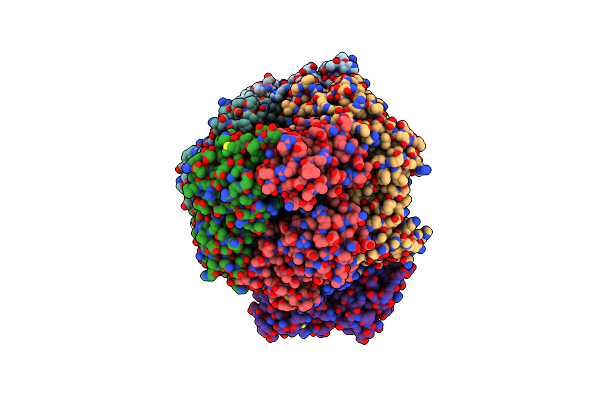 8VAP image