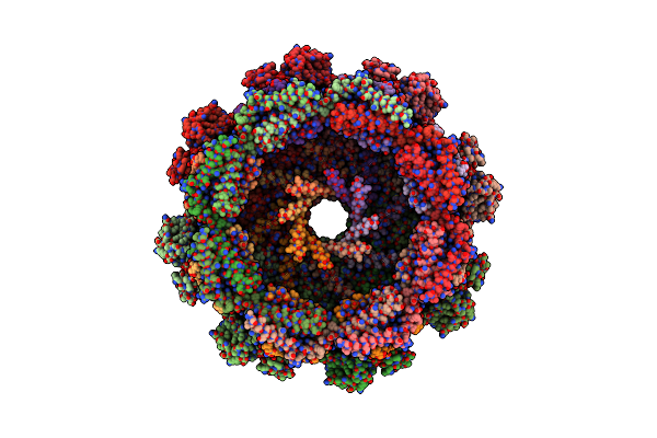 8VB2 image