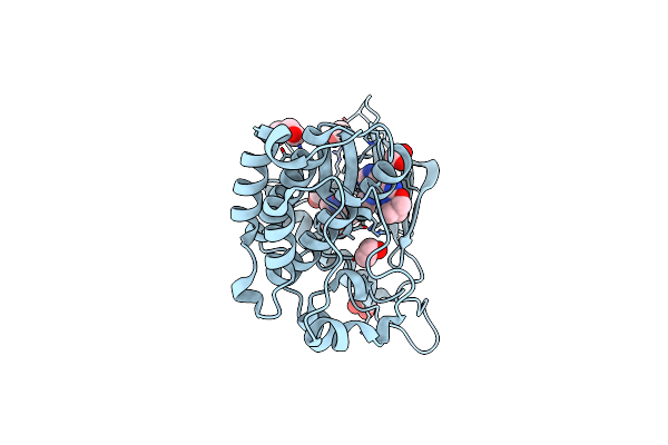 8VB5 image