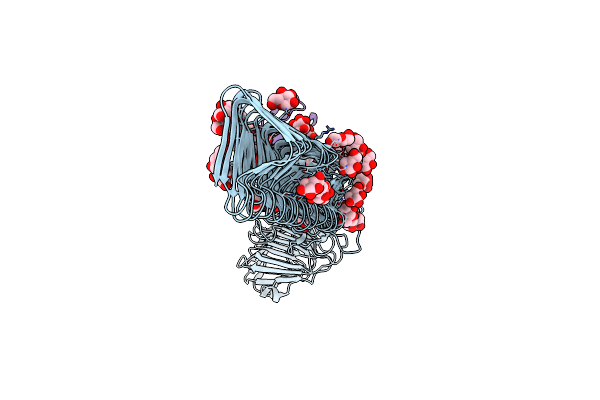 8VBA image