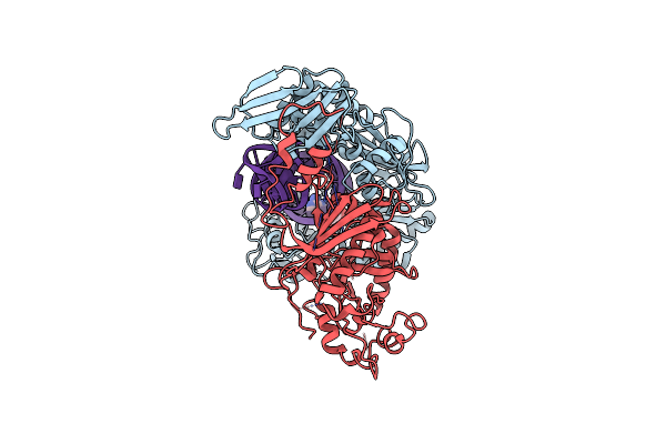 8VBC image