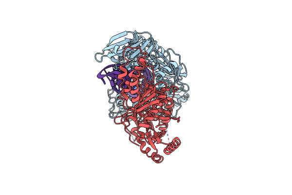 8VBF image