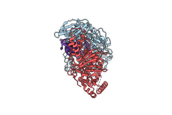 8VBI image