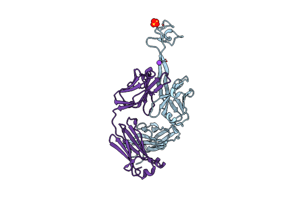 8VBJ image