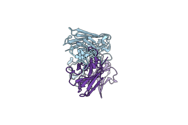 8VBK image