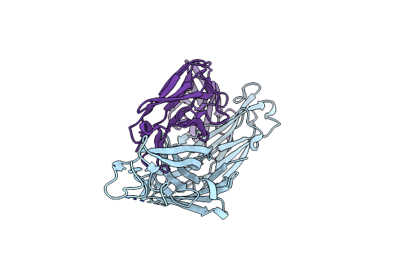 8VBL image