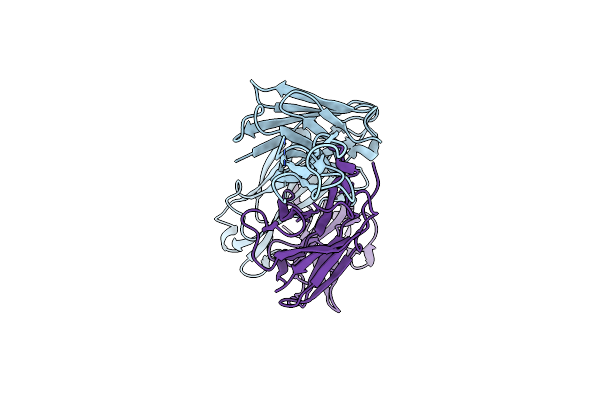 8VBM image