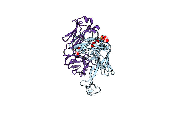 8VBO image