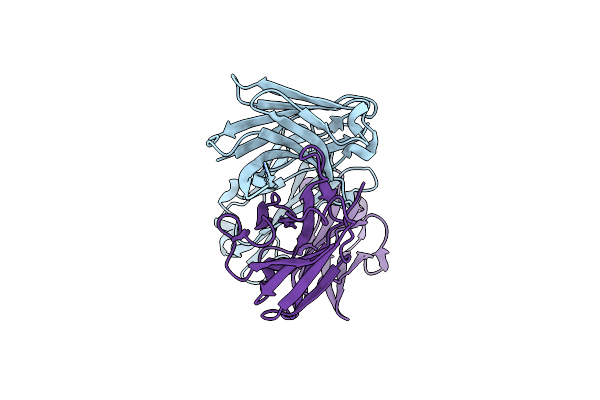 8VBP image