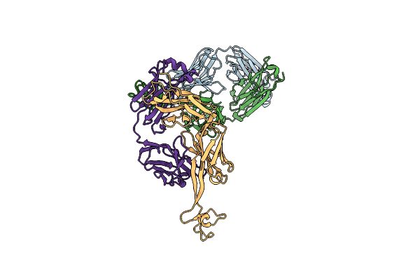 8VBR image