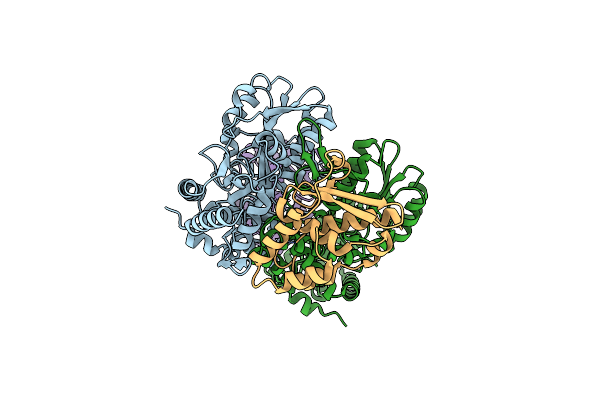 8VBS image
