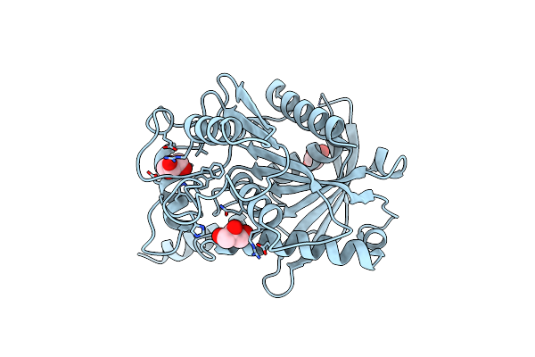 8VCA image