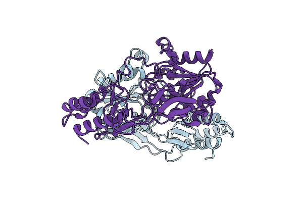 8VCB image