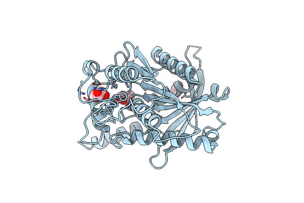 8VCD image