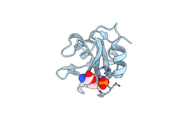 8VCG image