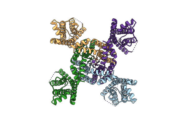 8VCH image