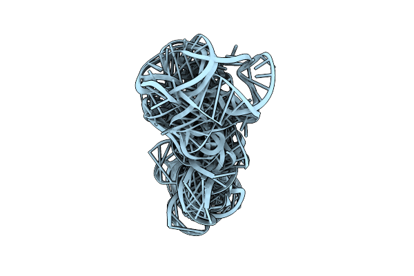 8VCI image