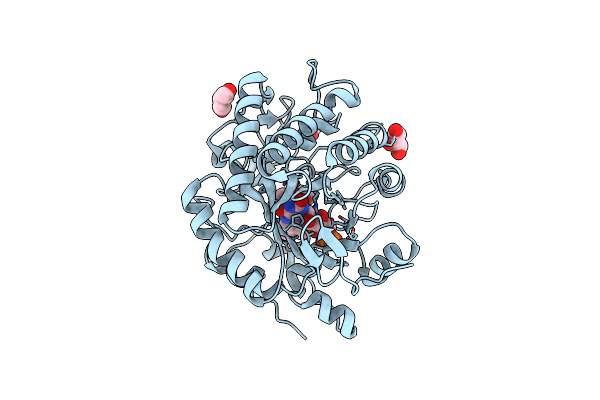 8VCN image