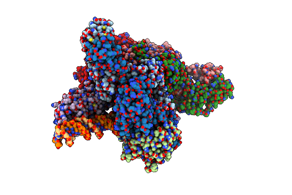8VCT image