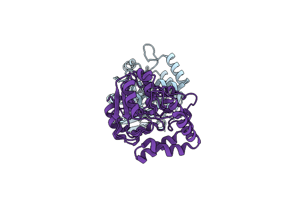 8VD3 image