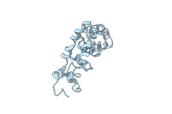 8VD6 image