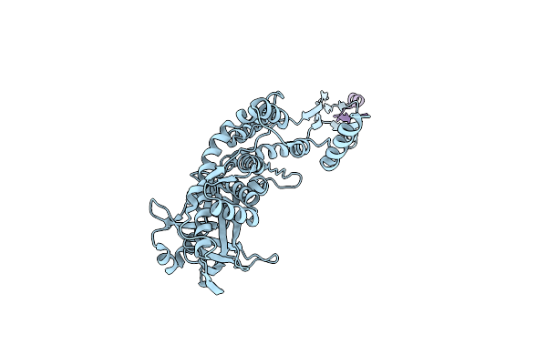 8VD8 image