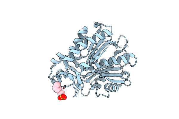 8VD9 image