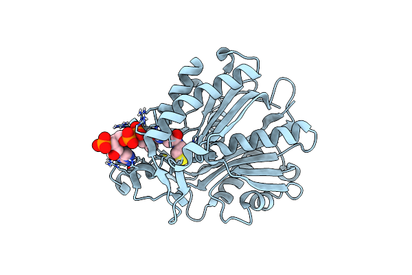 8VDA image