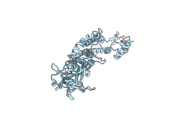 8VDC image