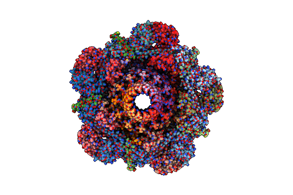 8VDE image