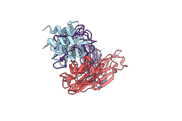 8VDL image