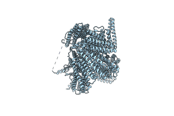 8VDP image
