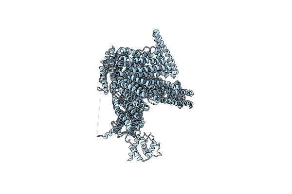 8VDR image