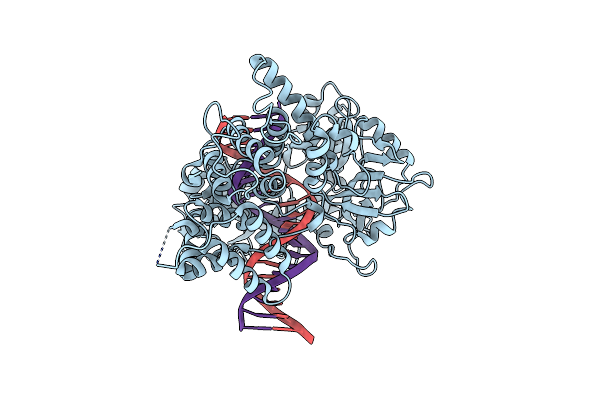 8VDS image