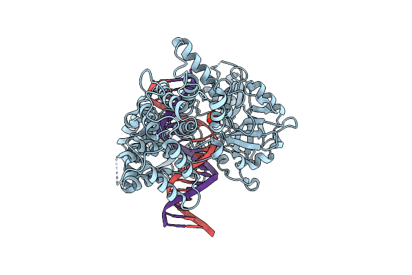 8VDT image