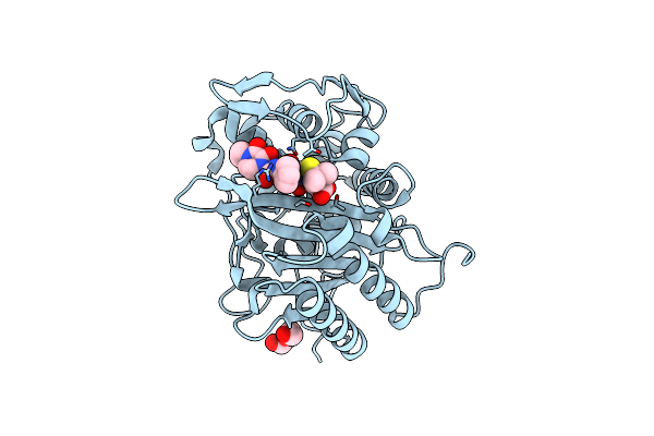 8VEP image